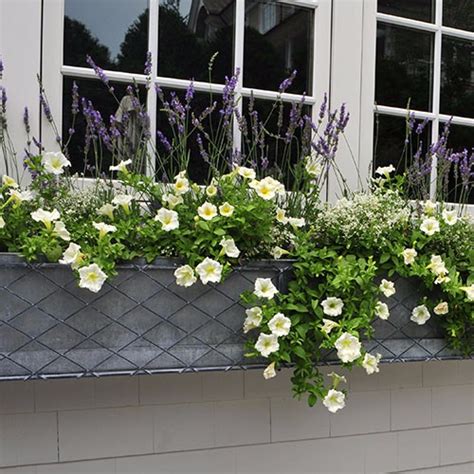 galvanized metal window boxes|exterior window boxes.